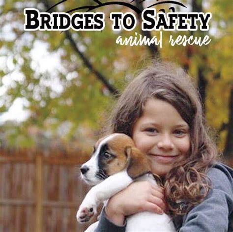 Bridges to Safety Animal Rescue: Saving Lives, One Furry Friend at a Time